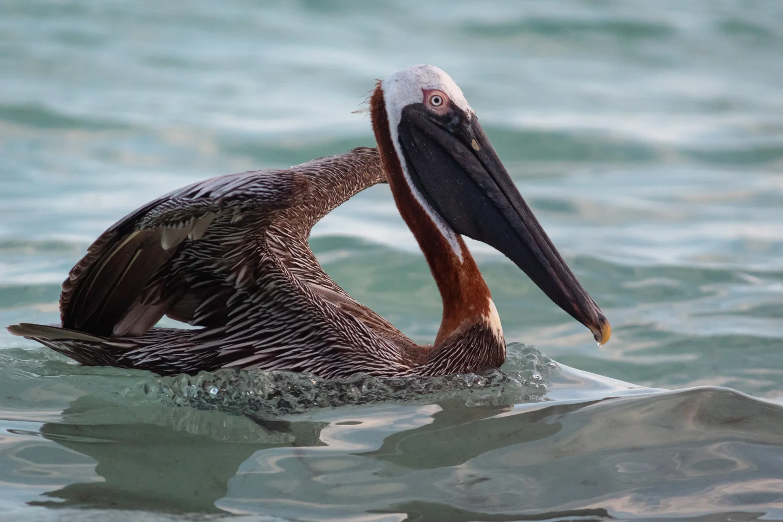 nature photography by JRMGraphy